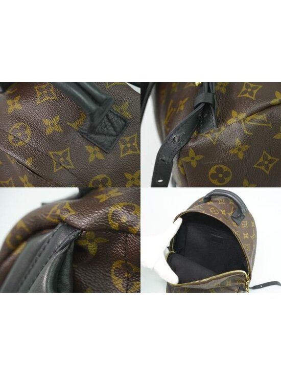 Louis Vuitton Palm Springs PM Monogram Rucksack Sac Backpack Brown